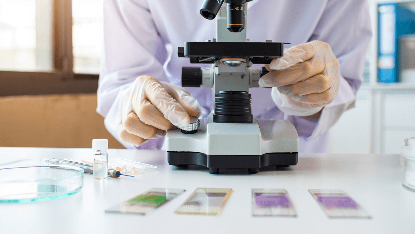 Research & Publications - Image 4